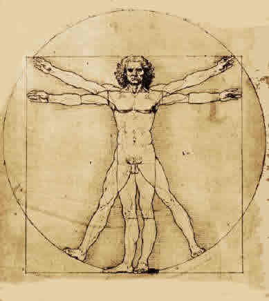 vitruvian