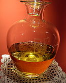 olea sancta