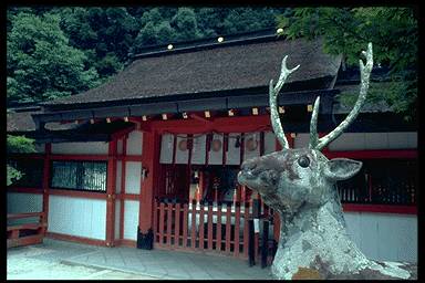 KYOTO-8&deg; SEC.jpg