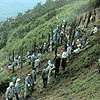 daimonji3.gif