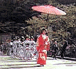 daimyou5.gif