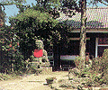 hatsumoude9.gif