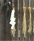 imper-3.gif